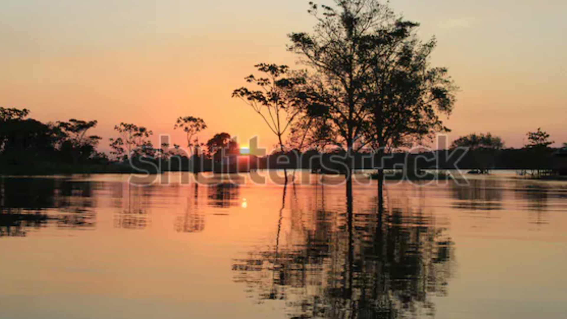 Foto: © Edmar Barros / Greenpeace Brasil